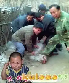 恶搞qq群群主的幽默图片
