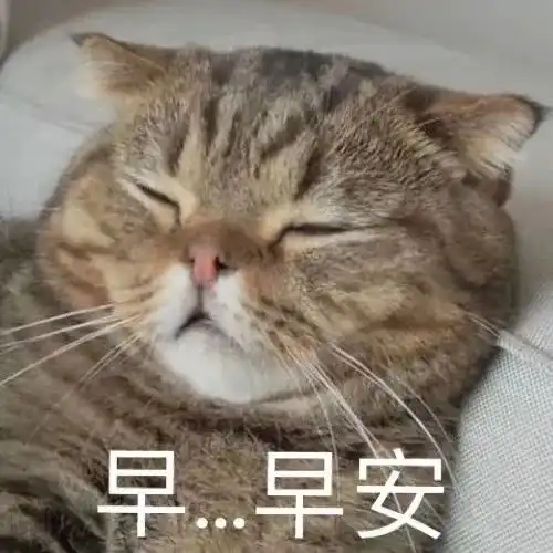 春天时候,小猫咪要面临这些生命威胁
