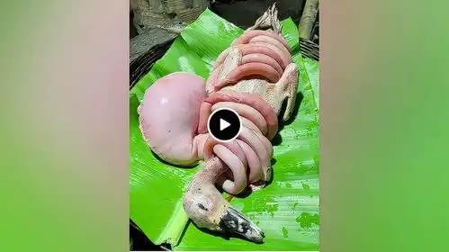 新视频美食烹饪原始美味美食推荐萨瓦迪卡抖音美食精选
