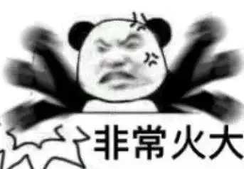 讲真找对象不如养条狗
