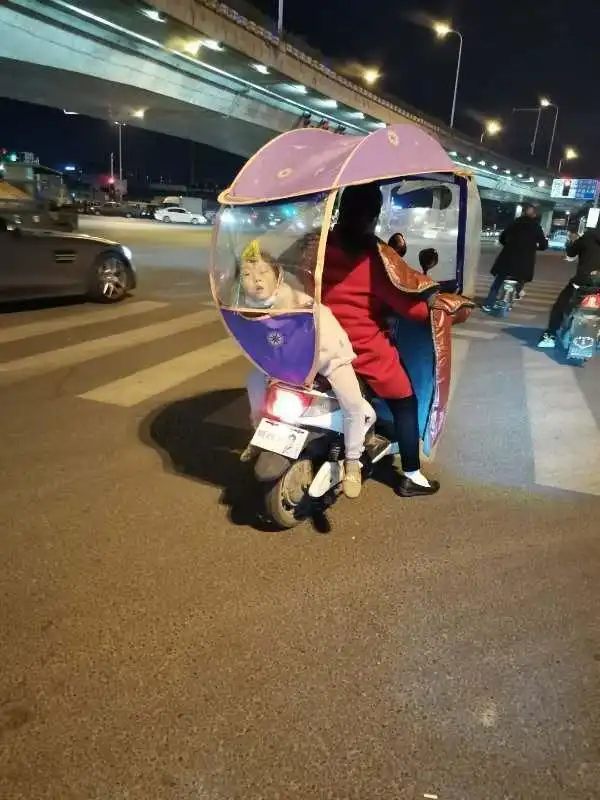 每日一笑终于见识到了现实版的对牛弹琴,可这牛不太投入啊
