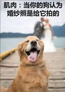 冷幽默肌肉最讨厌的一类小伙子
