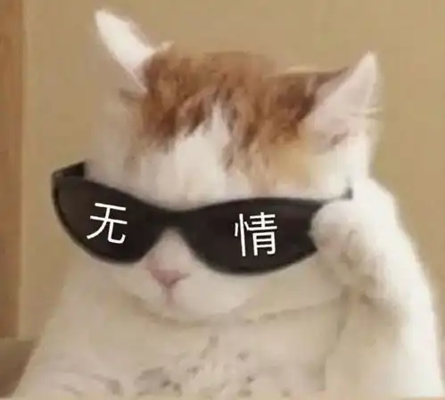 搞笑沙雕图片小哥