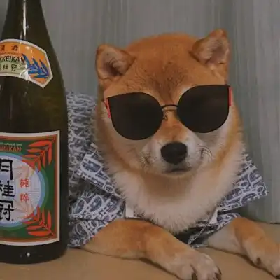 2022最火头像微信头像我要个性网

