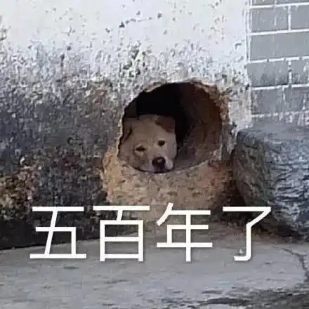 沙雕表情快递小哥怎么还不来敲门腾讯新闻
