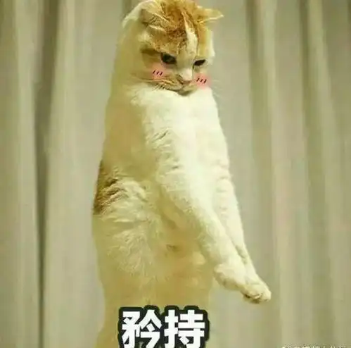 tozju新生们开学必看宝典你想知道的我们都有,没有的话请留言
