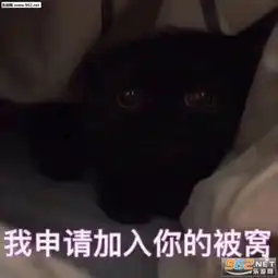 平时能耐不显收账爱因斯坦图片上辈子是积了什么的德遇上这么一个宝贝表情包下载乐游网游戏下载
