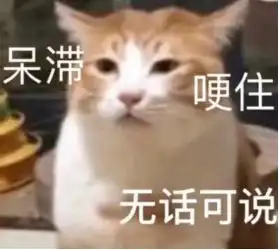 猫养了我还想省心下辈子吧你
