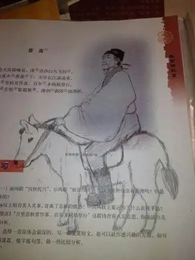 杜甫很忙爆笑图片合集雷人创意层出不穷
