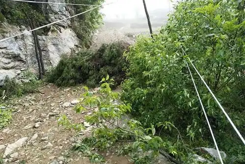 五一前,3次大风沙尘降雨降温组团而来,防沙防风农民这样做
