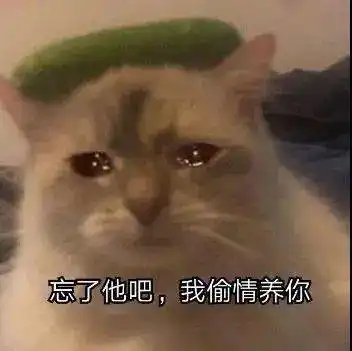 拜托...别离我太近ok丨第143期喵表情
