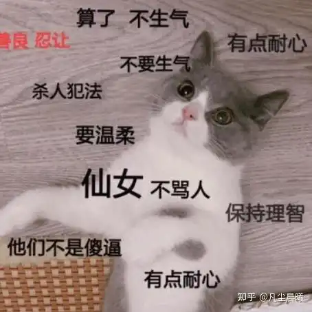 海奥华预言揭秘宇宙的起源与宇宙四力
