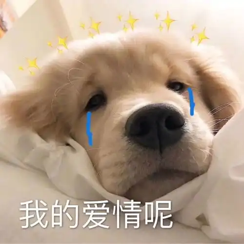 表情包可爱狗勾表情包合集