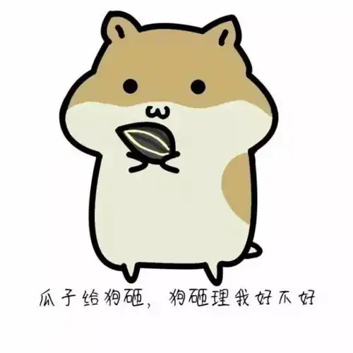 贡献一份超级可爱的表情包
