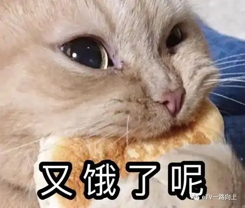 创意美食的诞生,让我偷偷告诉你吧