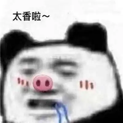 熊猫头暴走个性微信表情包带字的暴走表情包

