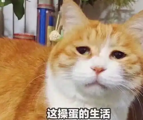 搞笑段子图片那些年我们遇到的尴尬事,看看你有没有同感

