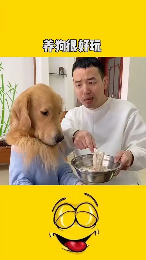 养狗很好玩,有点费衣服啊

