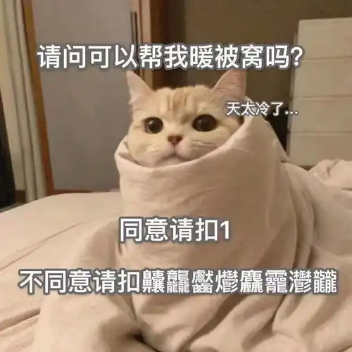 适合天冷时发的搞笑文案
