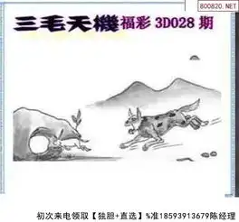 028期三毛图

