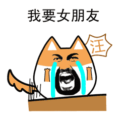 情人节搞笑图片带字两张