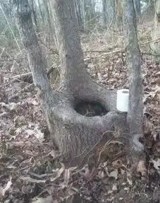 段子第一条,老婆永远是对的第二条,如果老婆错了,请参考第一条那条大
