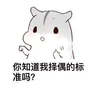 抖音仓鼠表白系列表情包你知道我的择偶标准吗套路图片大全