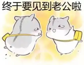 老婆的表情包
