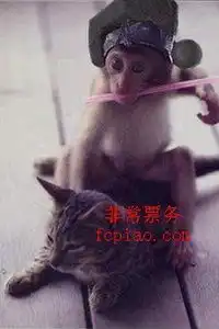 经典爆笑喜剧武松打虎
