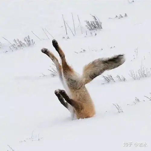 另类的安全感
