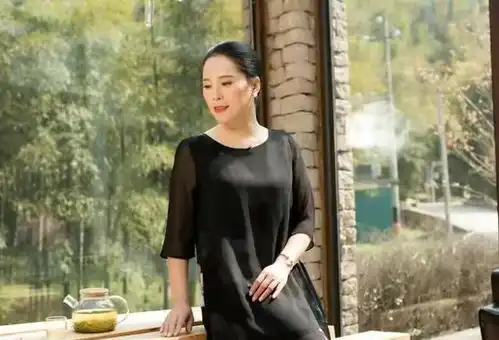 妻子听公婆说要带孙子来过年,她转头买了回娘家的车票