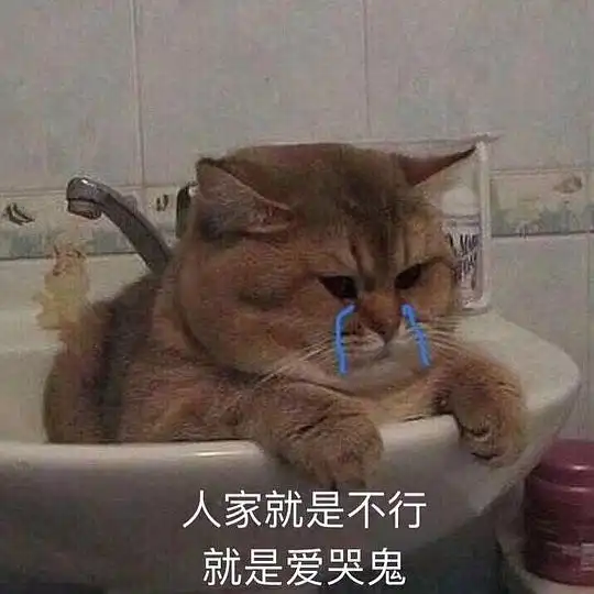 有关不搭理它的表情包别
