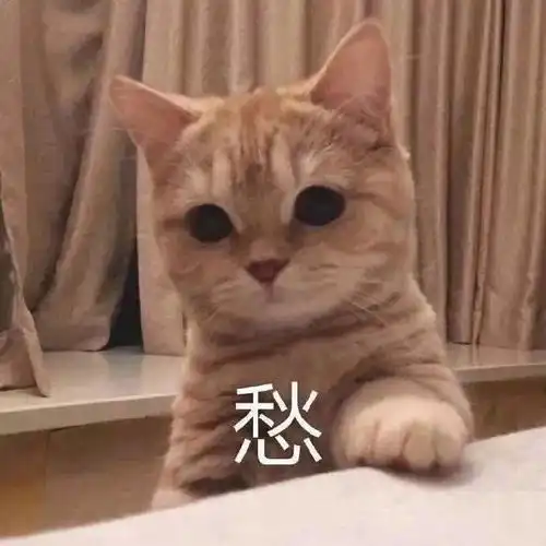 这也有平替错过损失几个亿
