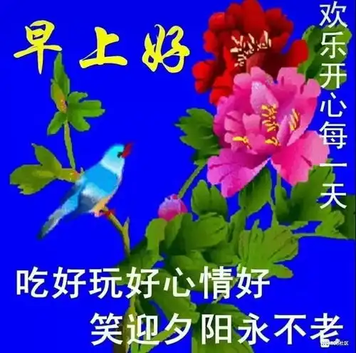 人生是条无名的河,深浅都要过人生是杯无色的茶,苦甜都要喝,早安