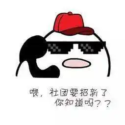 阳光长跑社纳新啦

