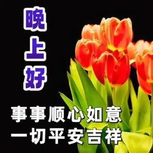 晚上好问候最牵挂的人,晚安我最思念的人
