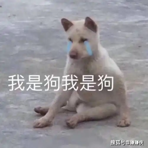 可爱表情包吓死宝宝了