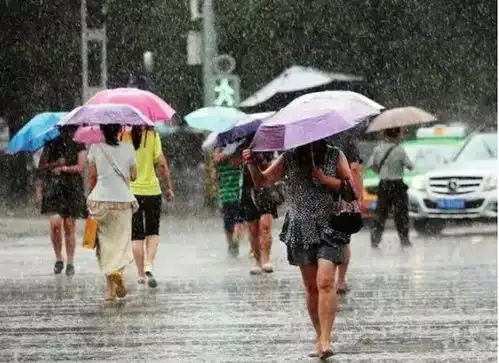 双台风要来了吴川未来几天天气
