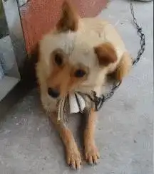 第一次开滴滴,一脚急刹被投诉了哈哈哈女乘客很漂亮吧
