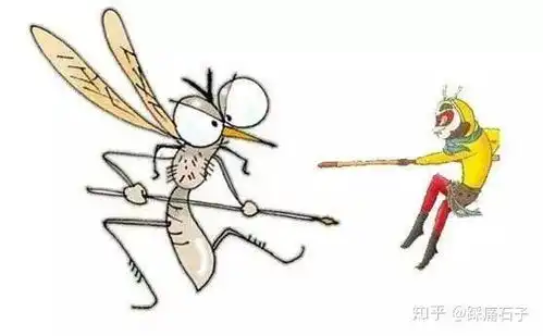 观这就是街舞有感,让我们来谈谈蚊子的艺术修养
