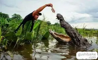 搞笑图片大全搞笑图片笑死人故事百科
