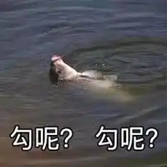 沙雕搞怪表情包
