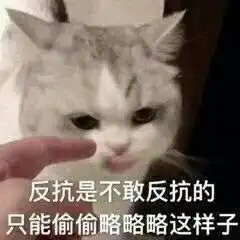 梨绘.的相册喵

