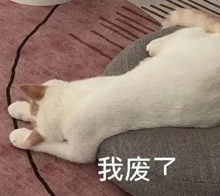 搞笑傻雕的小动物委屈表情包
