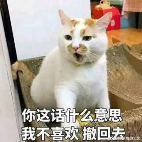 爆笑gif趣图厨师就你俩呀,说我烤的羊排不熟
