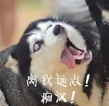 二哈表情包
