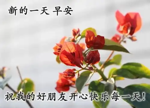20216月17日温馨的夏天早上好问候祝福图片精选周四早上好问候语大全
