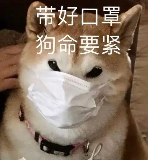 紧急天津刚刚发布重度这两天,请所有天津人尽量少出门
