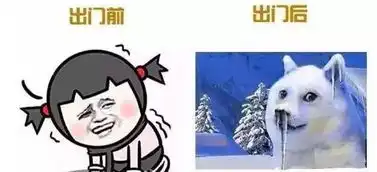直接入冬沈阳气温骤降至1然而更要命的是
