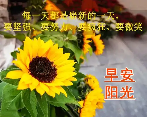 问候早上好图片带字动态,淡淡问候,发自肺腑